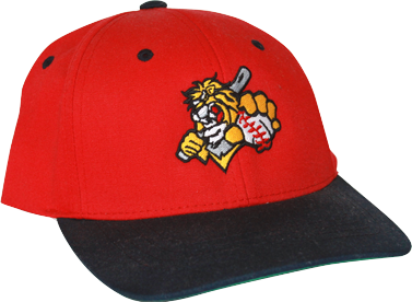 Lion Baseball Embroidered Hat