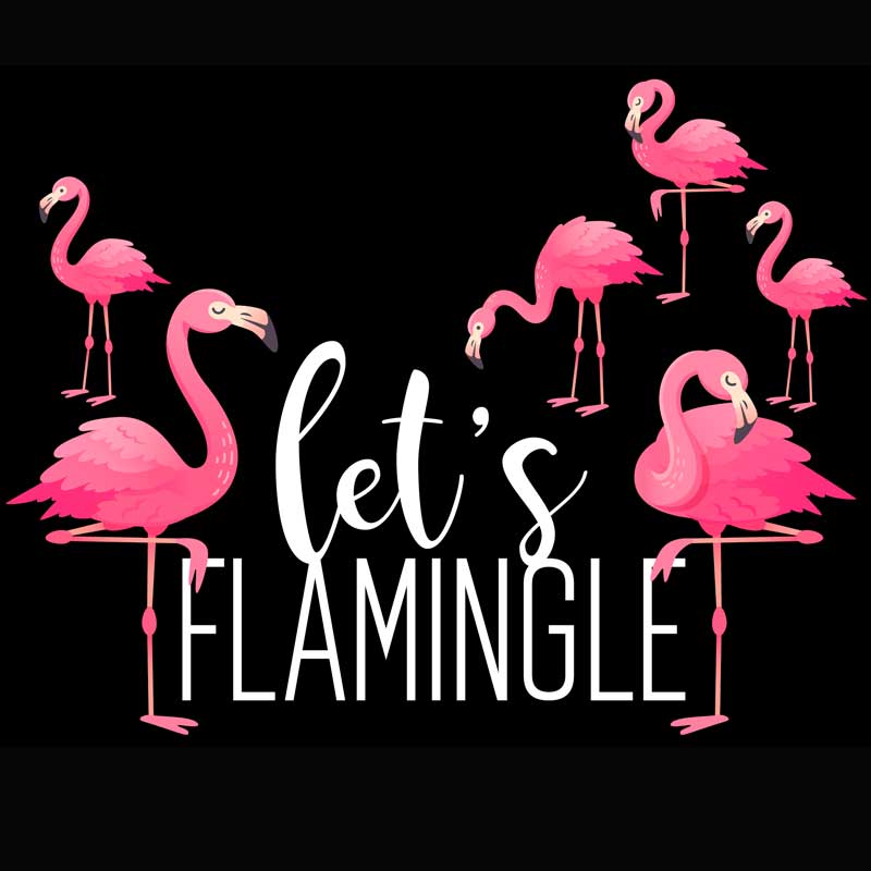 Lets Flamingle